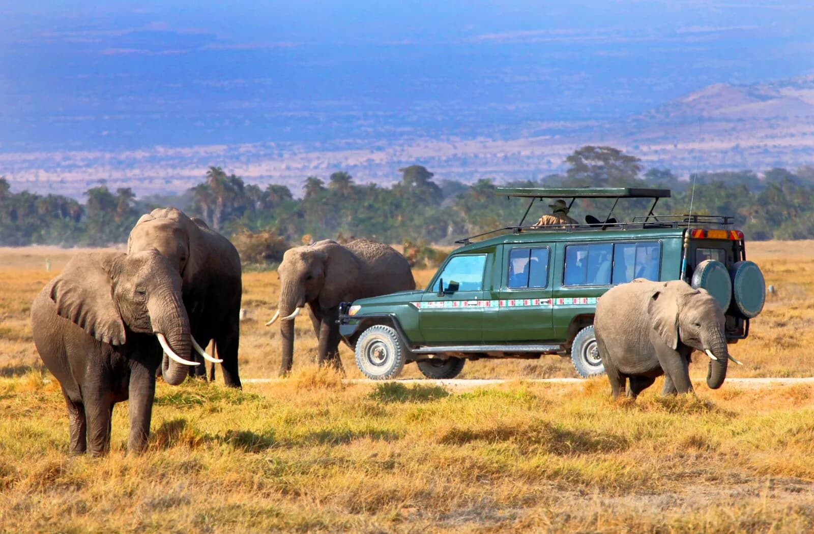 Elephants and a rhino beside a safari vehicle on an open plain