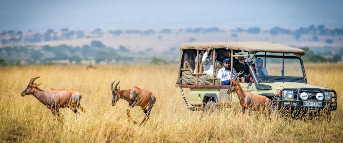 Travellers watching antelope from an open safari vehicle on the plains